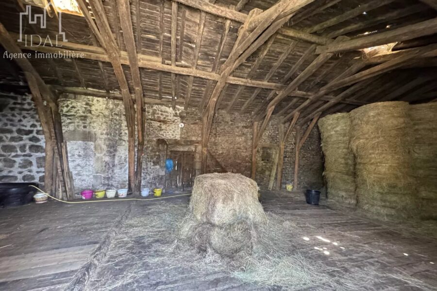 Maison à vendre à Saint-léger-du-malzieu — Vue nature — photo 13