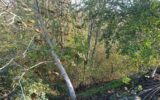 Terrain à vendre à Les martres-d&rsquo;artière — Vue dégagée — photo 3