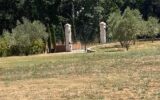 Maison à vendre à Solliès-pont — Vue nature — photo 15