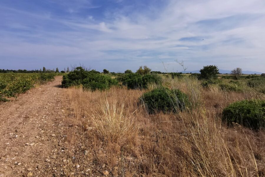 Terrain à vendre à Saint-hippolyte — Vue nature — photo 4