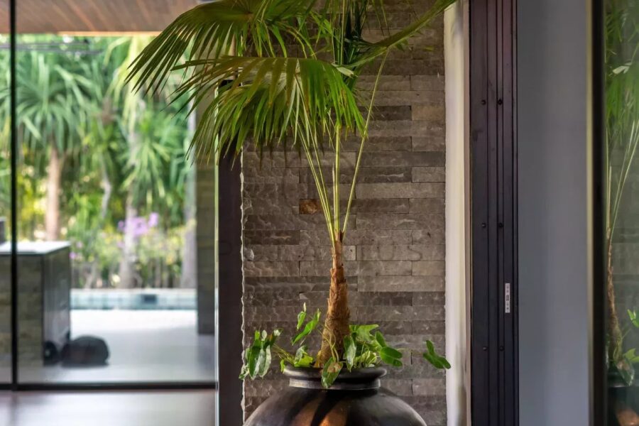 Maison à vendre à Sanur — Vue nature — photo 27