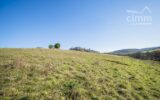 Terrain à vendre à Cordes-sur-ciel — Vue nature — photo 5