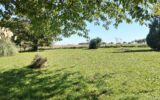 Maison à vendre à Nanteau-sur-lunain — Vue nature — photo 1