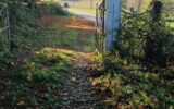 Maison à vendre à Moulins-engilbert — Vue nature — photo 7