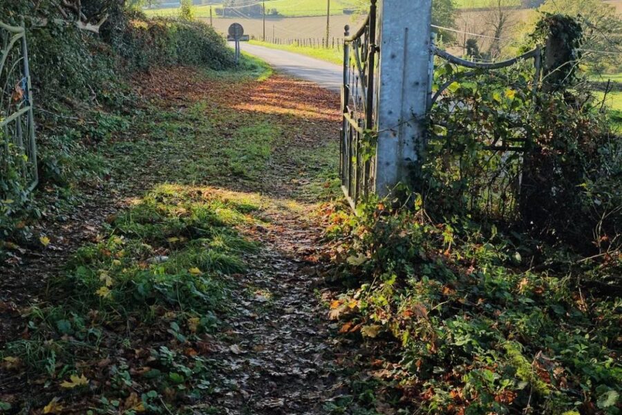 Maison à vendre à Moulins-engilbert — Vue nature — photo 7