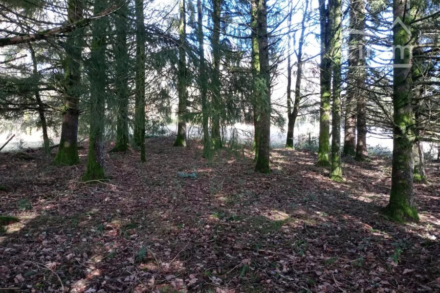 Terrain à vendre à Royère-de-vassivière — Vue nature — photo 2