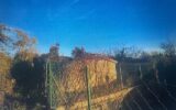 Terrain à vendre à Lorgues — Vue dégagée — photo 3