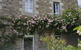 Maison à vendre à Tréguier — Vue parc & jardin — photo 14