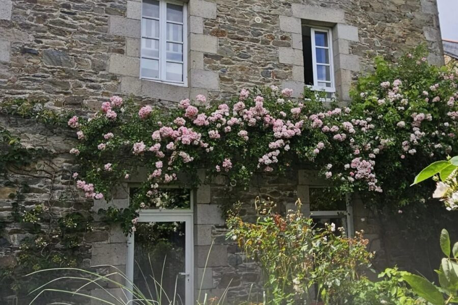 Maison à vendre à Tréguier — Vue parc & jardin — photo 14