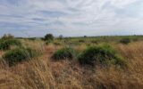 Terrain à vendre à Saint-hippolyte — Vue nature — photo 10