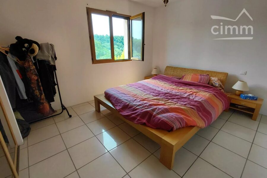 Maison à vendre à Roche — Vue montagne — photo 13