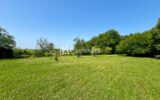 Maison à vendre à Puylaurens — Vue nature — photo 1