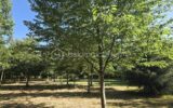 Terrain à vendre à Nuille sur vicoin — Vue fleuve — photo 6