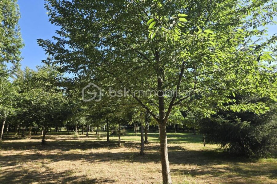 Terrain à vendre à Nuille sur vicoin — Vue fleuve — photo 6