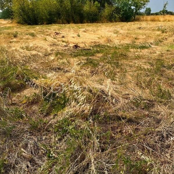 Terrain à vendre à Bois de la pierre — Vue dégagée — photo 6