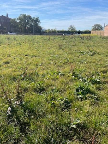 Terrain à vendre à Jallaucourt — Vue dégagée — photo 6