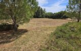Maison à vendre à Solliès-pont — Vue nature — photo 17