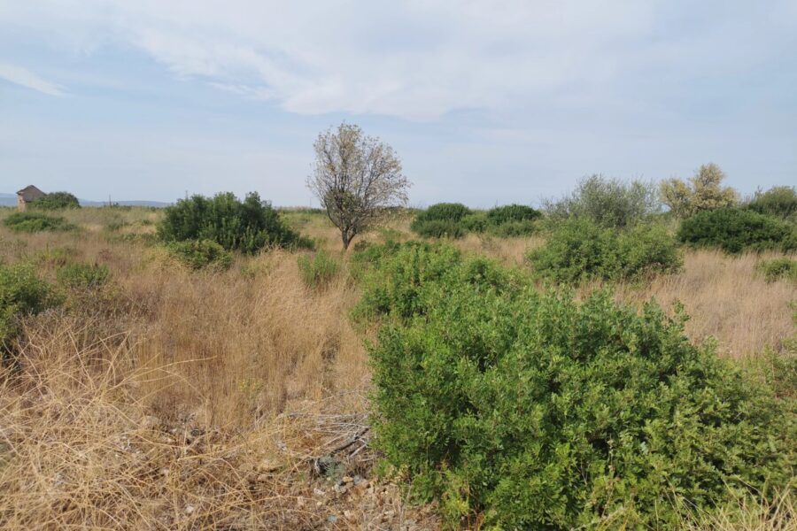 Terrain à vendre à Saint-hippolyte — Vue nature — photo 13