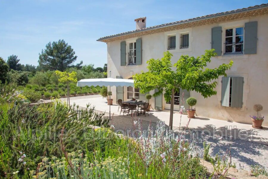Maison à louer à Eygalières — Vue montagne — photo 4