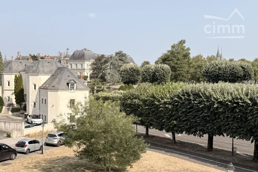 Maison à vendre à Blois — Vue monument — photo 24