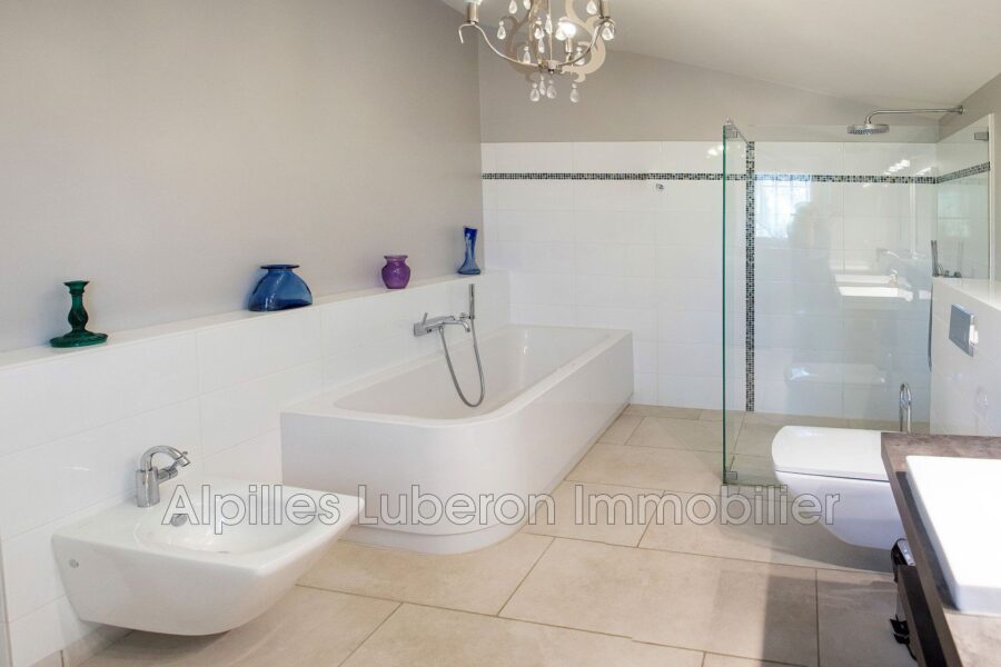 Maison à louer à Eygalières — Vue montagne — photo 14