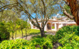 Maison à vendre à Grimaud — Vue nature — photo 13