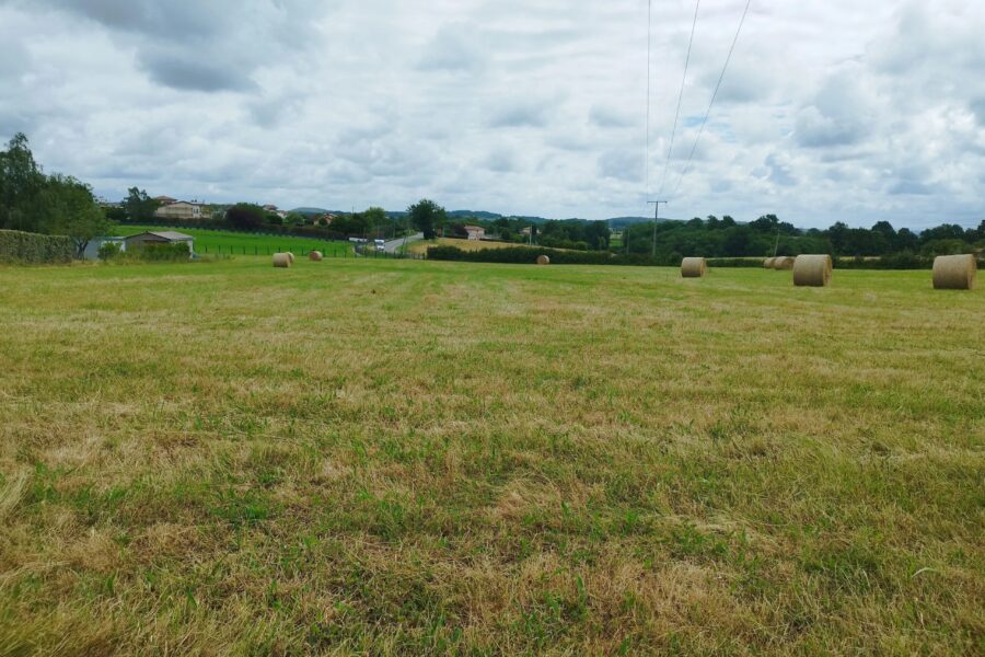 Terrain à vendre à Saint-gaudens — Vue nature — photo 1
