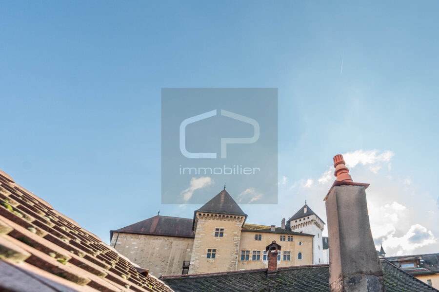 Appartement à vendre à Annecy — Vue fleuve — photo 10