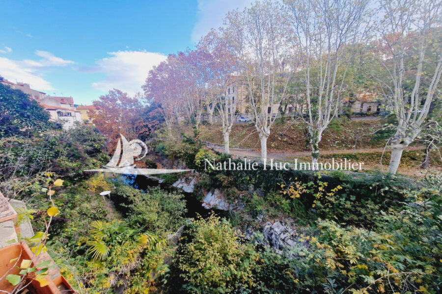 Maison à vendre à Amélie-les-Bains-Palalda — Vue montagne — photo 4