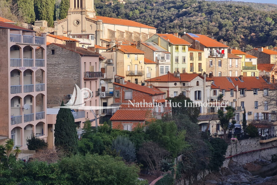 Maison à vendre à Amélie-les-Bains-Palalda — Vue montagne — photo 2