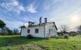 Maison à vendre à Cornebarrieu — Vue nature — photo 17