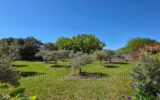 Maison à vendre à Cabrières-d&rsquo;avignon — Vue nature — photo 1