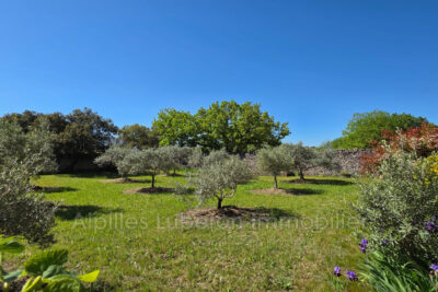 Maison à vendre à Cabrières-d&rsquo;avignon