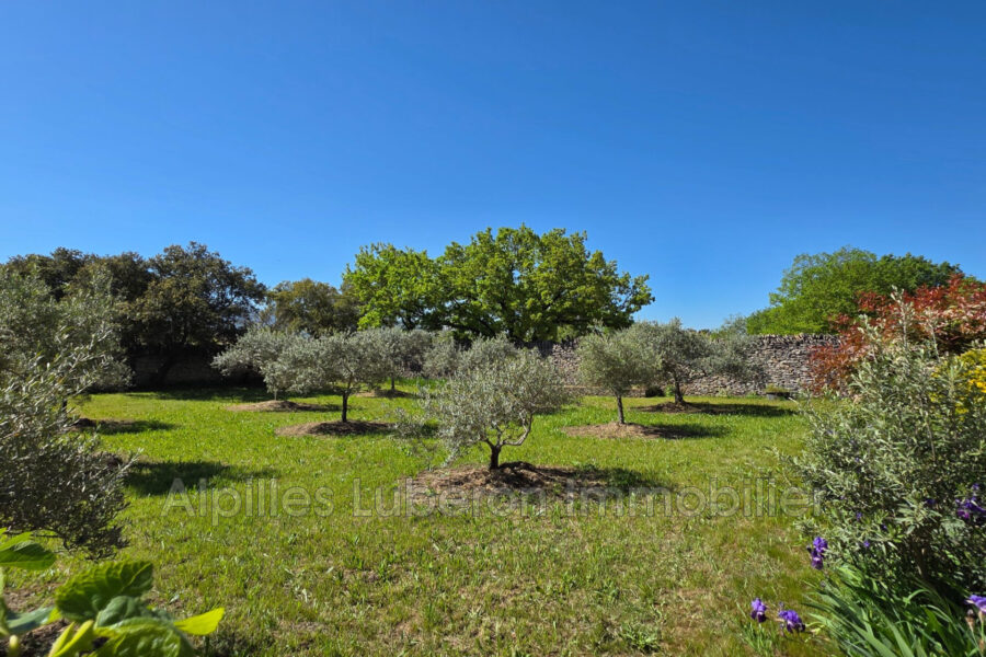 Maison à vendre à Cabrières-d&rsquo;avignon — Vue nature — photo 1