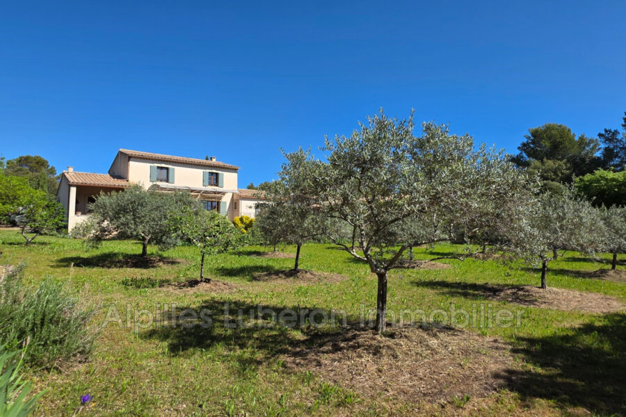 Maison à vendre à Cabrières-d&rsquo;avignon — Vue nature — photo 6