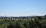 Appartement à vendre à Mandelieu-la-napoule — Vue nature — photo 15
