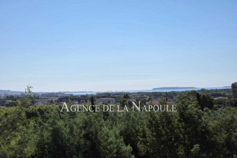Appartement à vendre à Mandelieu-la-napoule — Vue nature — photo 15