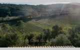 Maison à vendre à Flassans-sur-issole — Vue vignes — photo 5