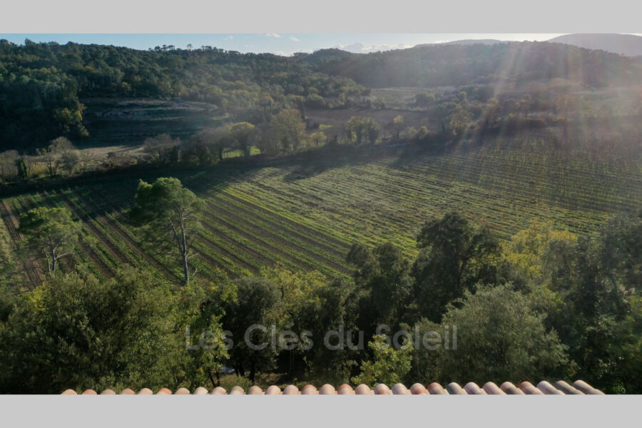 Maison à vendre à Flassans-sur-issole — Vue vignes — photo 5