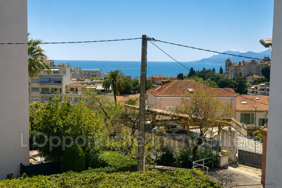 Maison à vendre à Cannes — Vue parc — photo 4