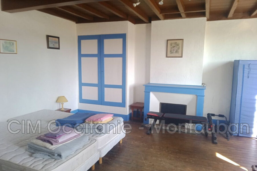 Maison à vendre à Malause — Vue nature — photo 4