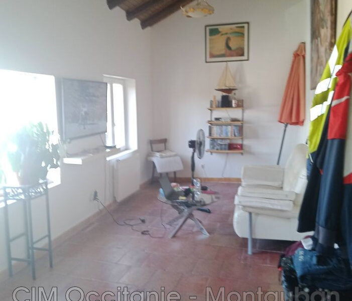 Maison à vendre à Malause — Vue nature — photo 7