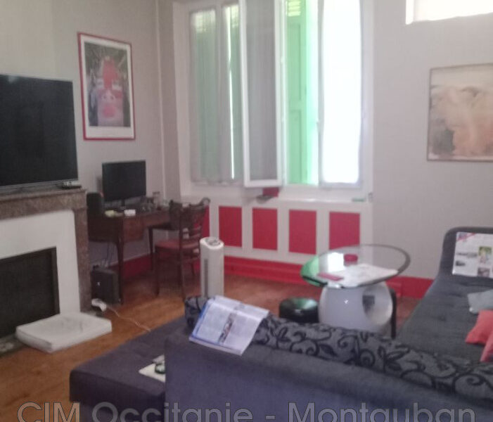 Maison à vendre à Malause — Vue nature — photo 9