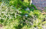 Maison à vendre à Duranus — Vue nature — photo 8