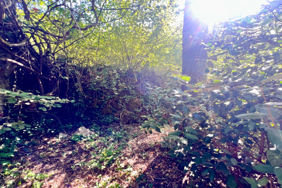 Maison à vendre à Duranus — Vue nature — photo 10