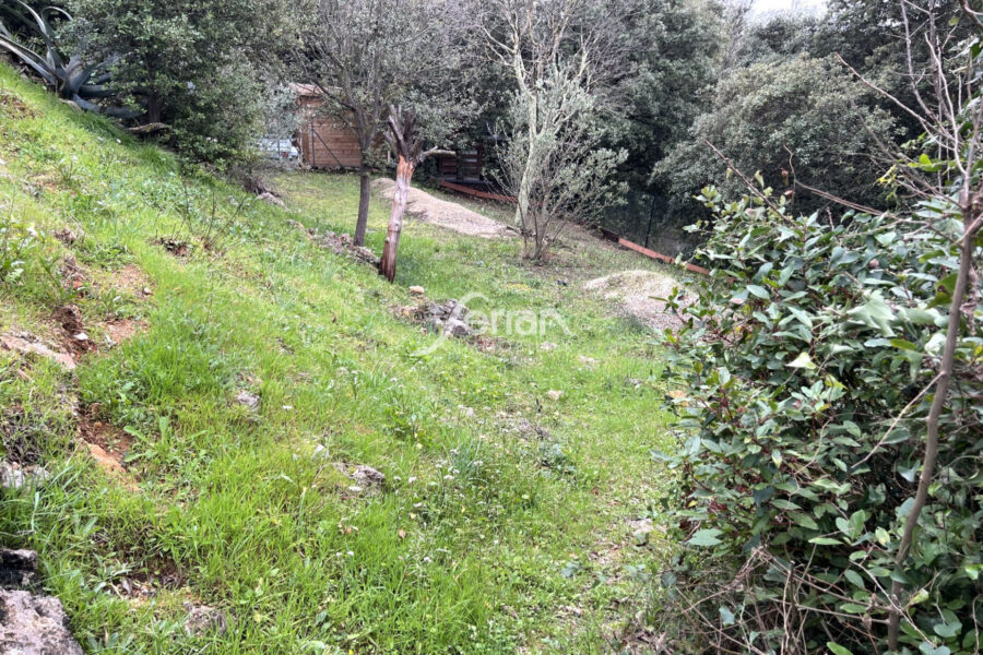 Maison à vendre à Trans-en-provence — Vue nature — photo 8