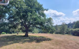 Maison à vendre à Neuvic — Vue nature — photo 19