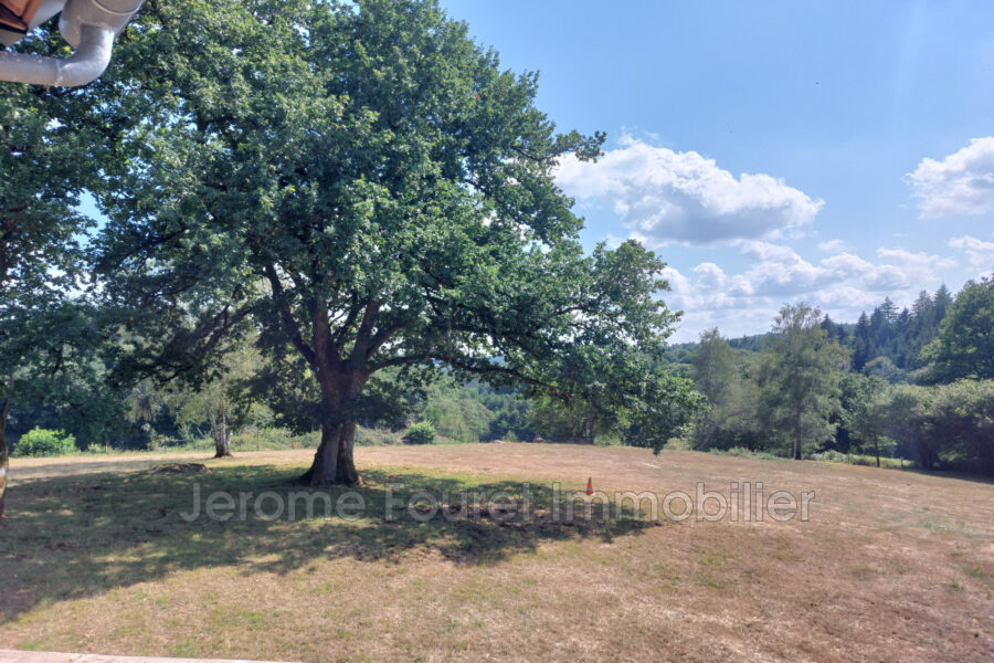 Maison à vendre à Neuvic — Vue nature — photo 19