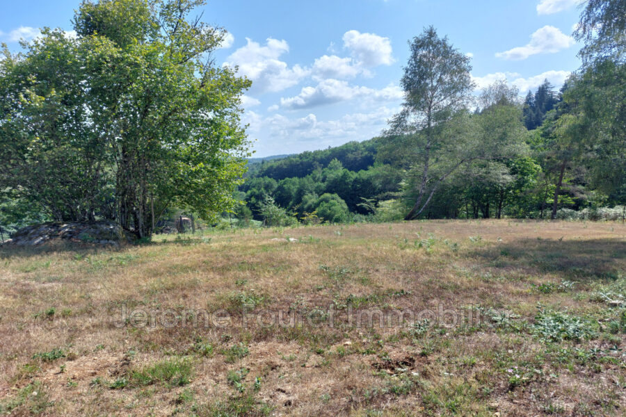 Maison à vendre à Neuvic — Vue nature — photo 20