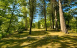 Maison à vendre à Trets — Vue parc — photo 16